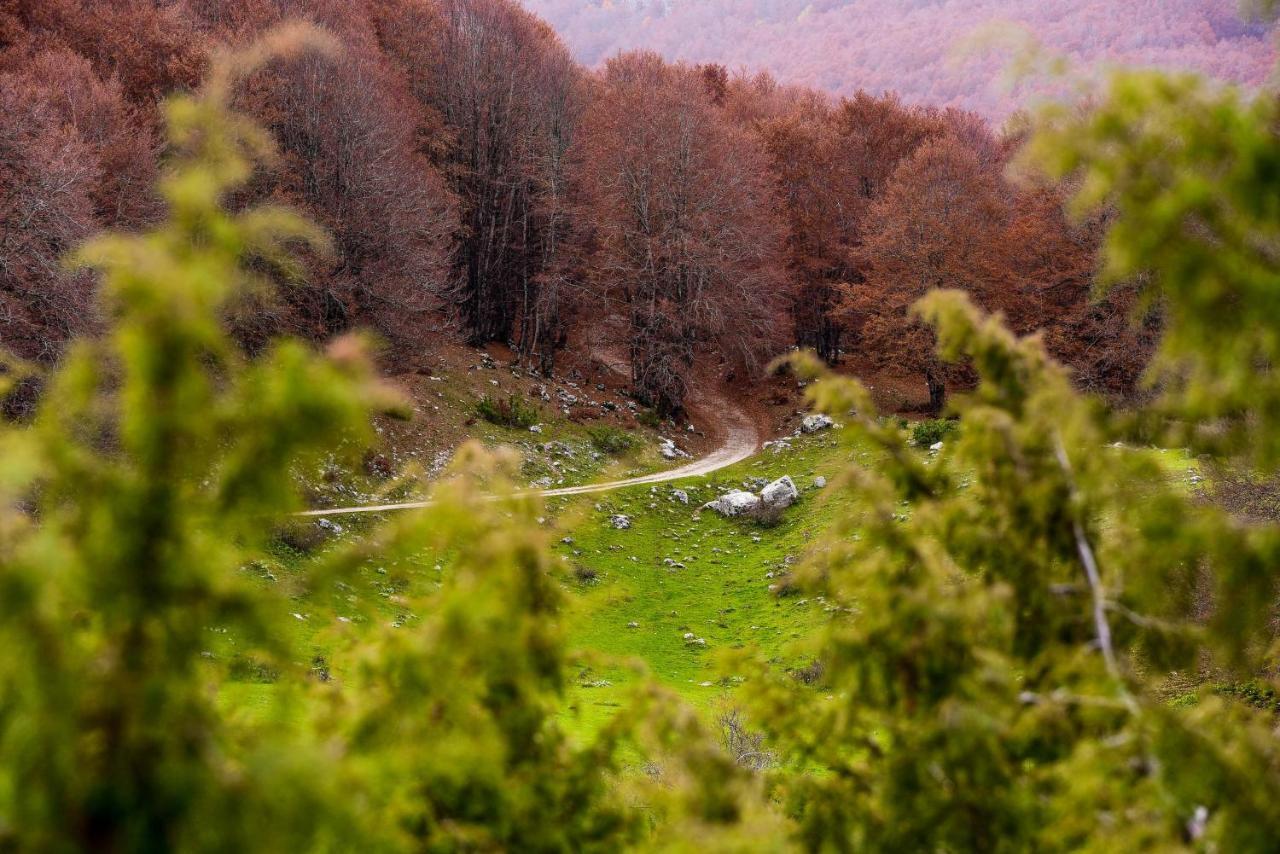 Appartamento A Campo Felice - Treeffe Collimento Kültér fotó